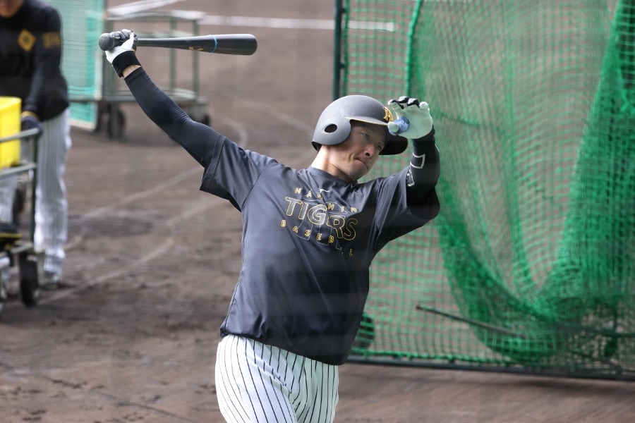 阪神近本光司睽違2個半月回一軍 DeNA藤浪本季初登板先發