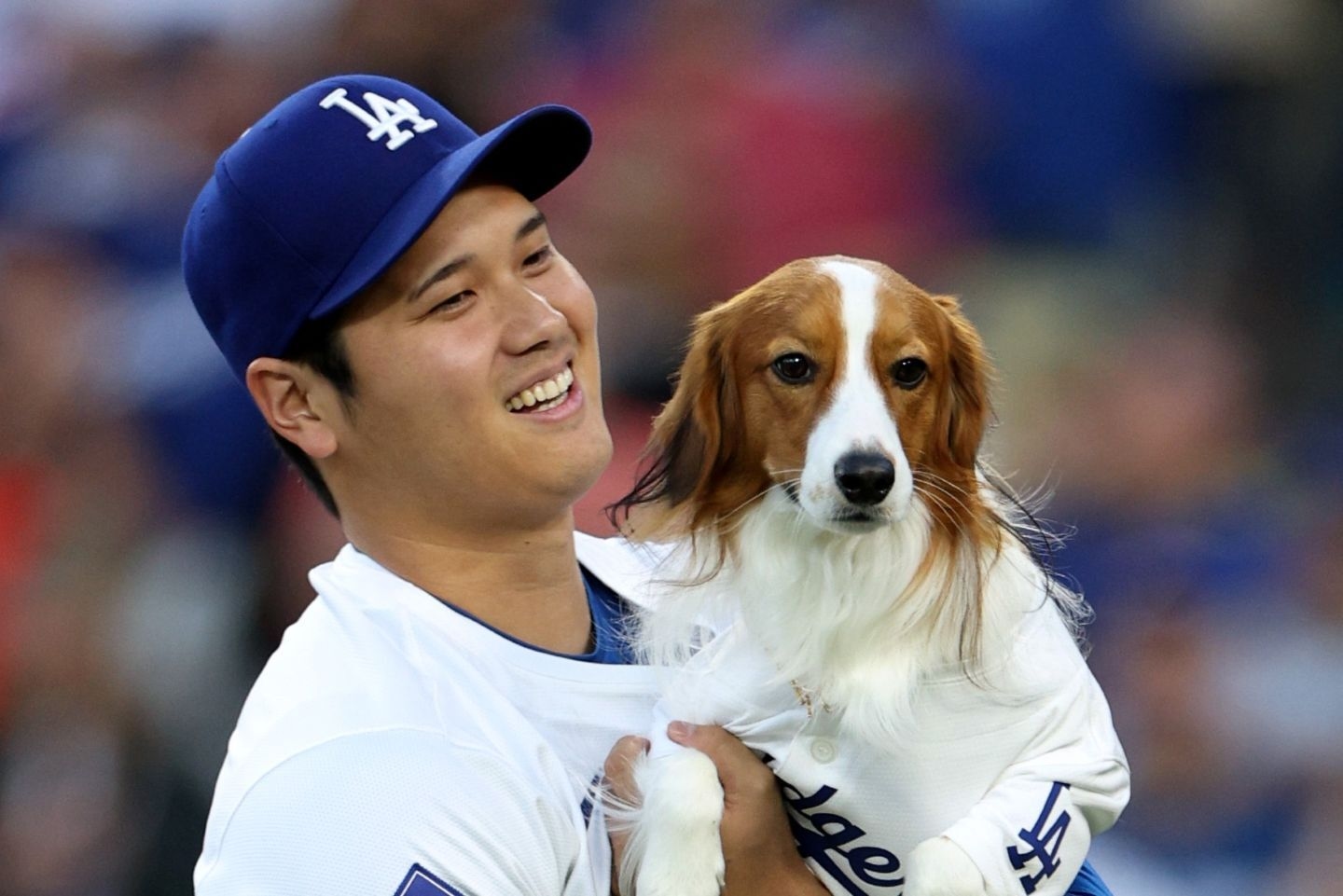 大谷翔平曬Decoy 3歲生日派對照 道奇官方與Topps留言祝福