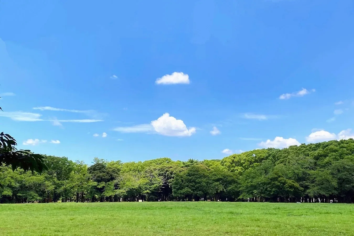 東京戶外約會景點12選 天氣好就出門走走
