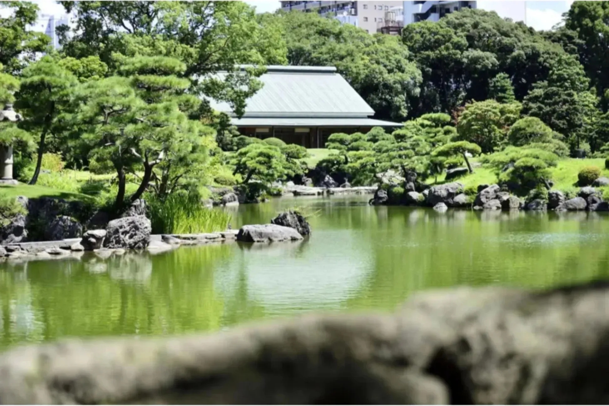 清澄白河約會推薦景點 6 選