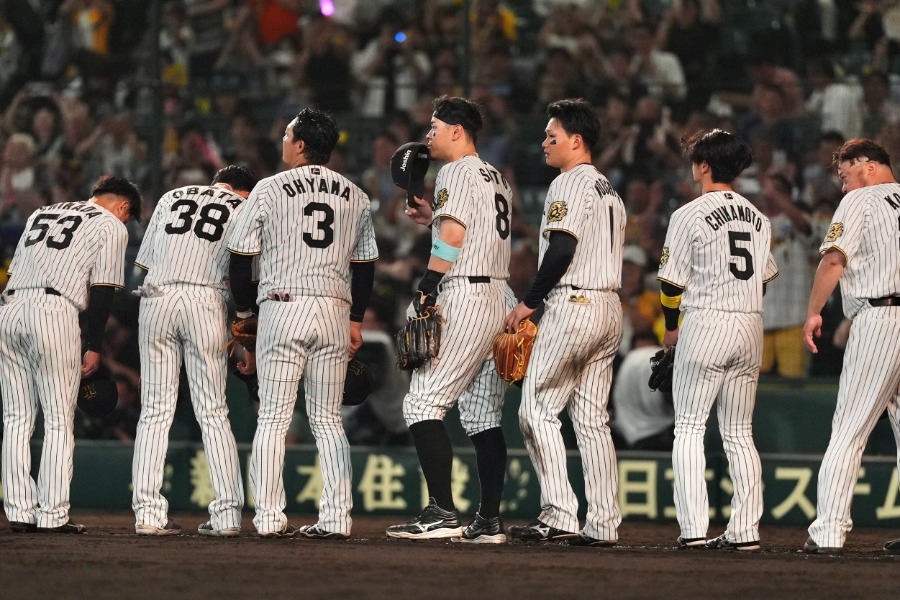 高井俐香神宮替阪神應援 活動喊卡後見證敗戰