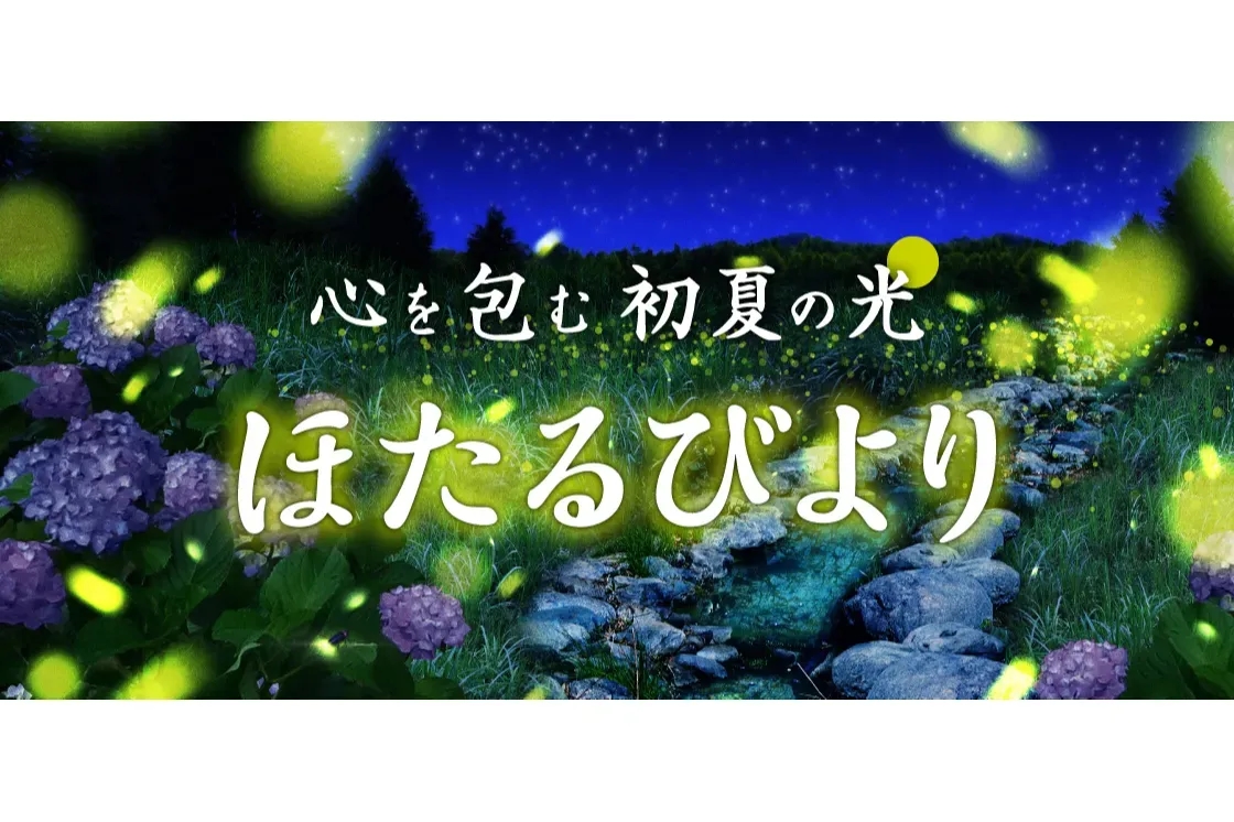 螢火蟲觀賞活動「ほたるびより」