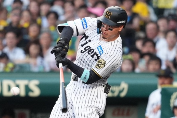 佐藤輝明敲聯盟獨居第11轟 阪神主場甲子園嗨翻