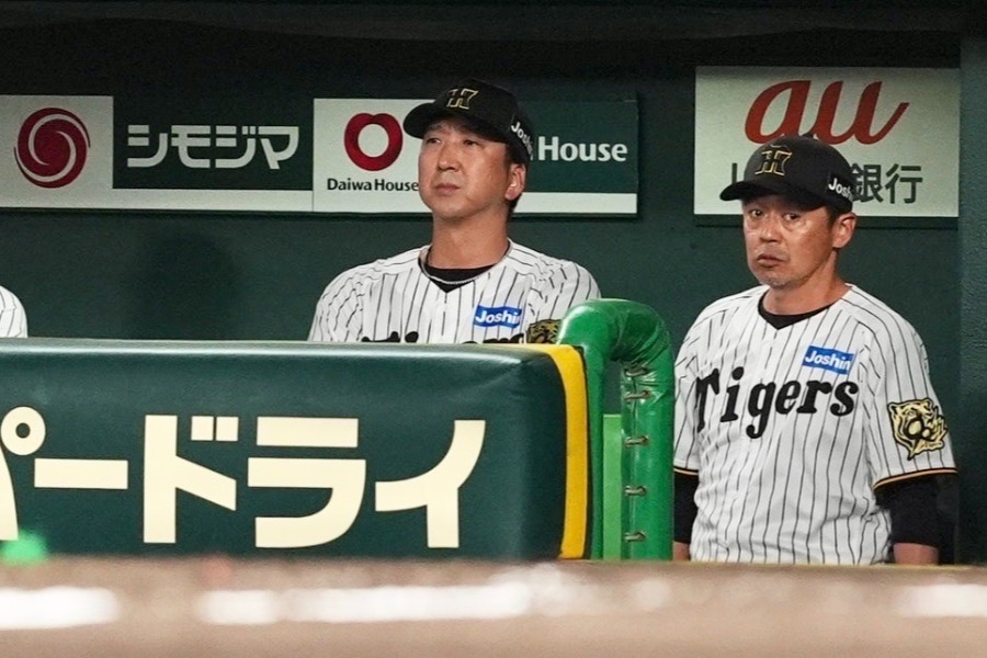 阪神廣島戰因雨取消 本季第14場補賽壓力增
