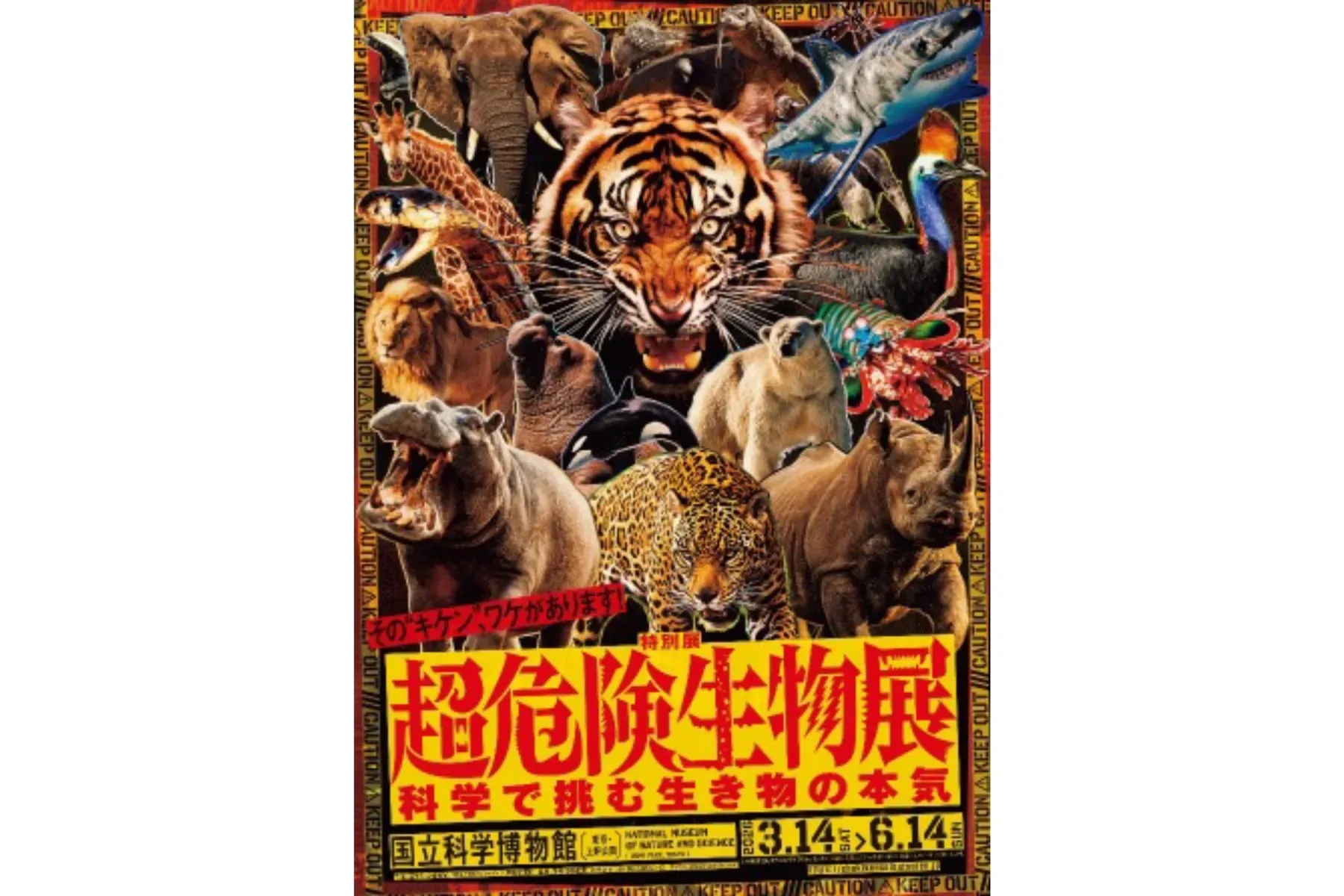 特別展「超危險生物展 科學挑戰生物的真本事」