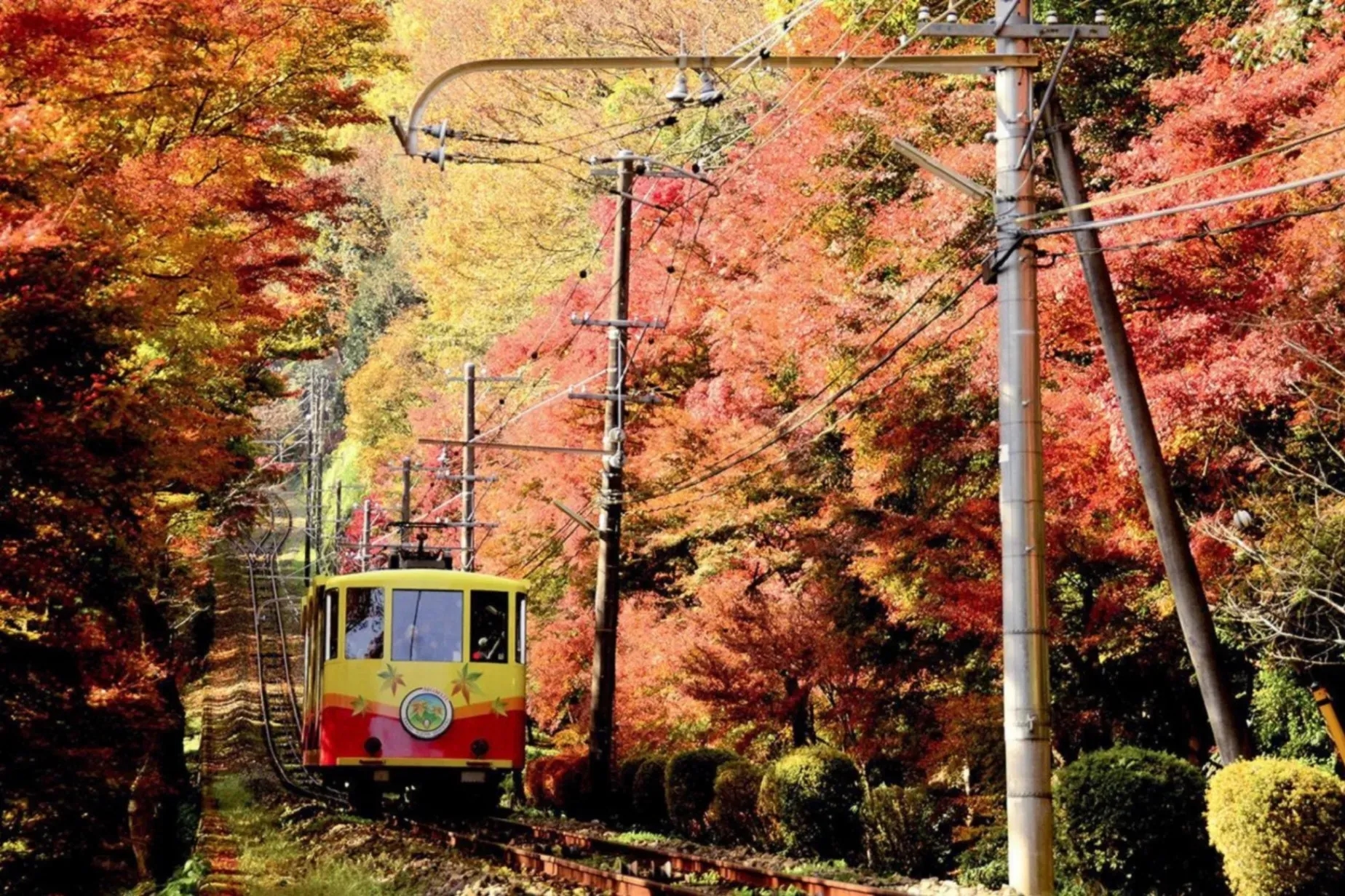 【2026】關東一日登山景點 10 選 東京出發當天來回