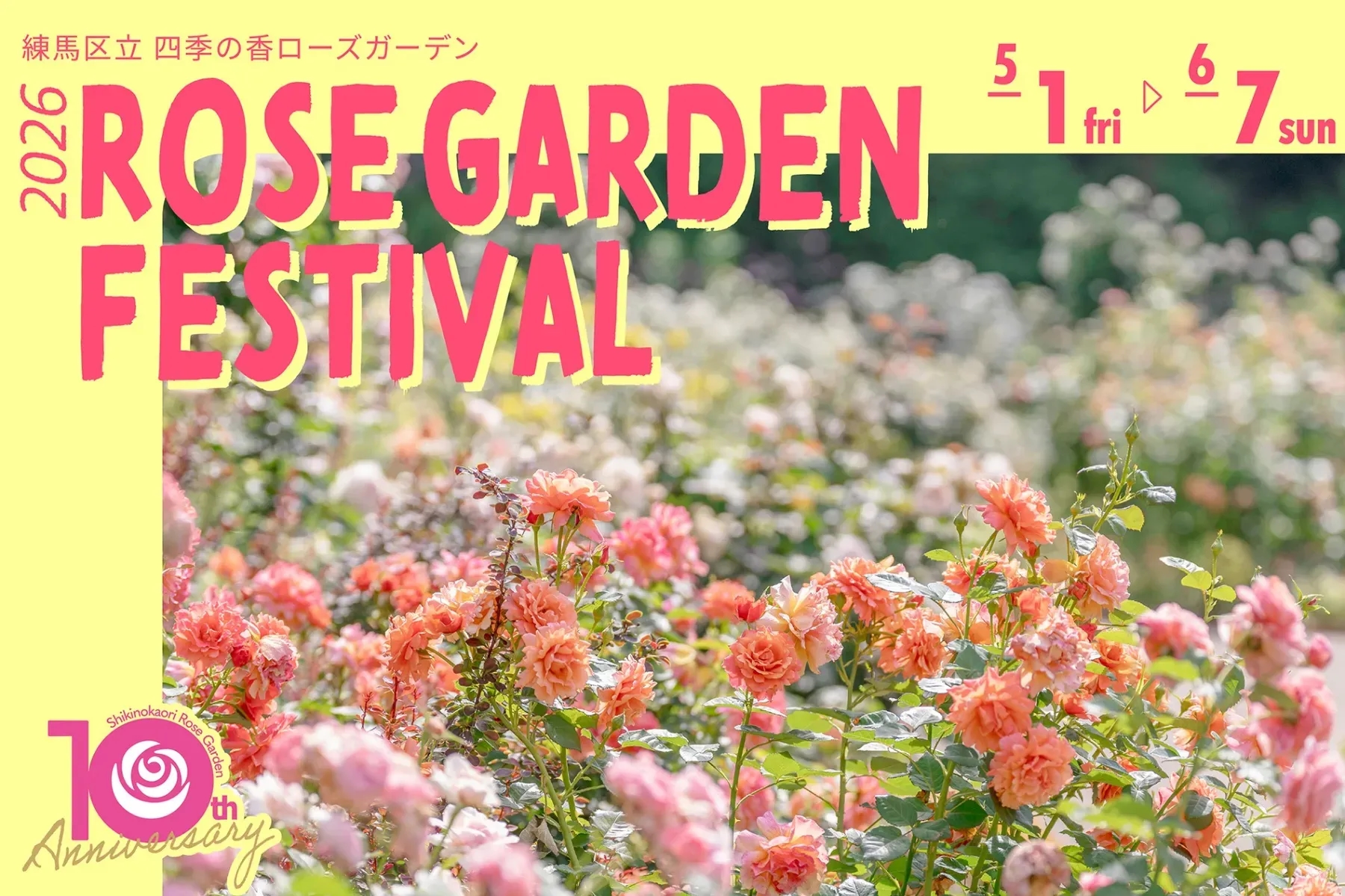 【2026】練馬區立 四季之香玫瑰花園 玫瑰花園嘉年華