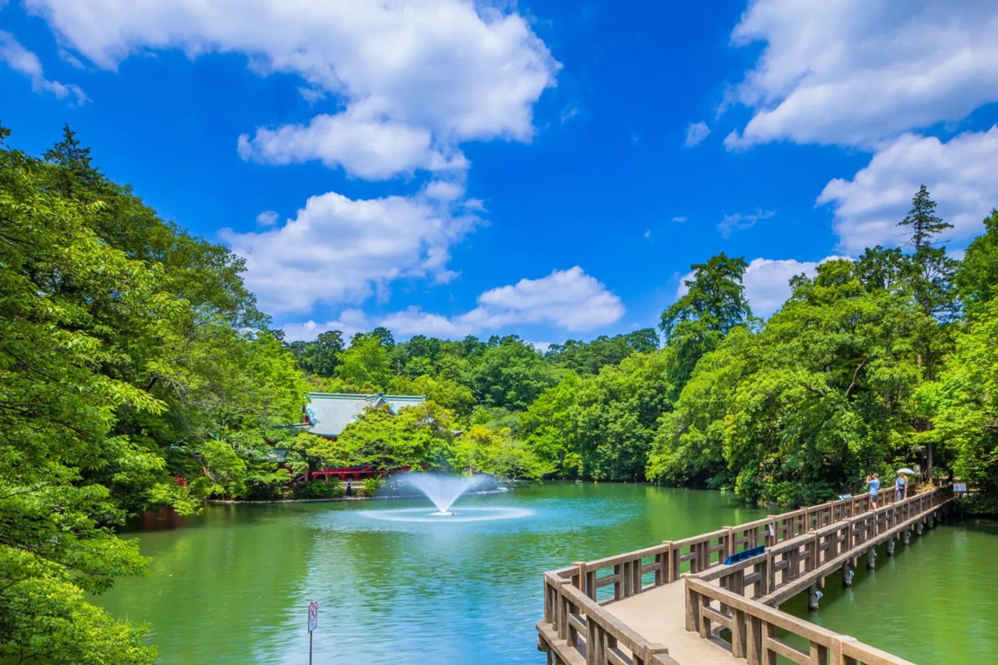 【東京】適合約會的公園 15 選