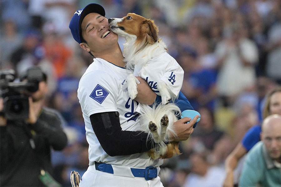 大谷翔平愛犬Decoy滿3歲 Poplar社送特製紀念球祝壽