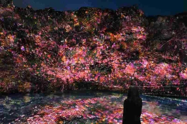 『teamLab 養老溪谷』含入場門票 交通接送輕鬆方案
