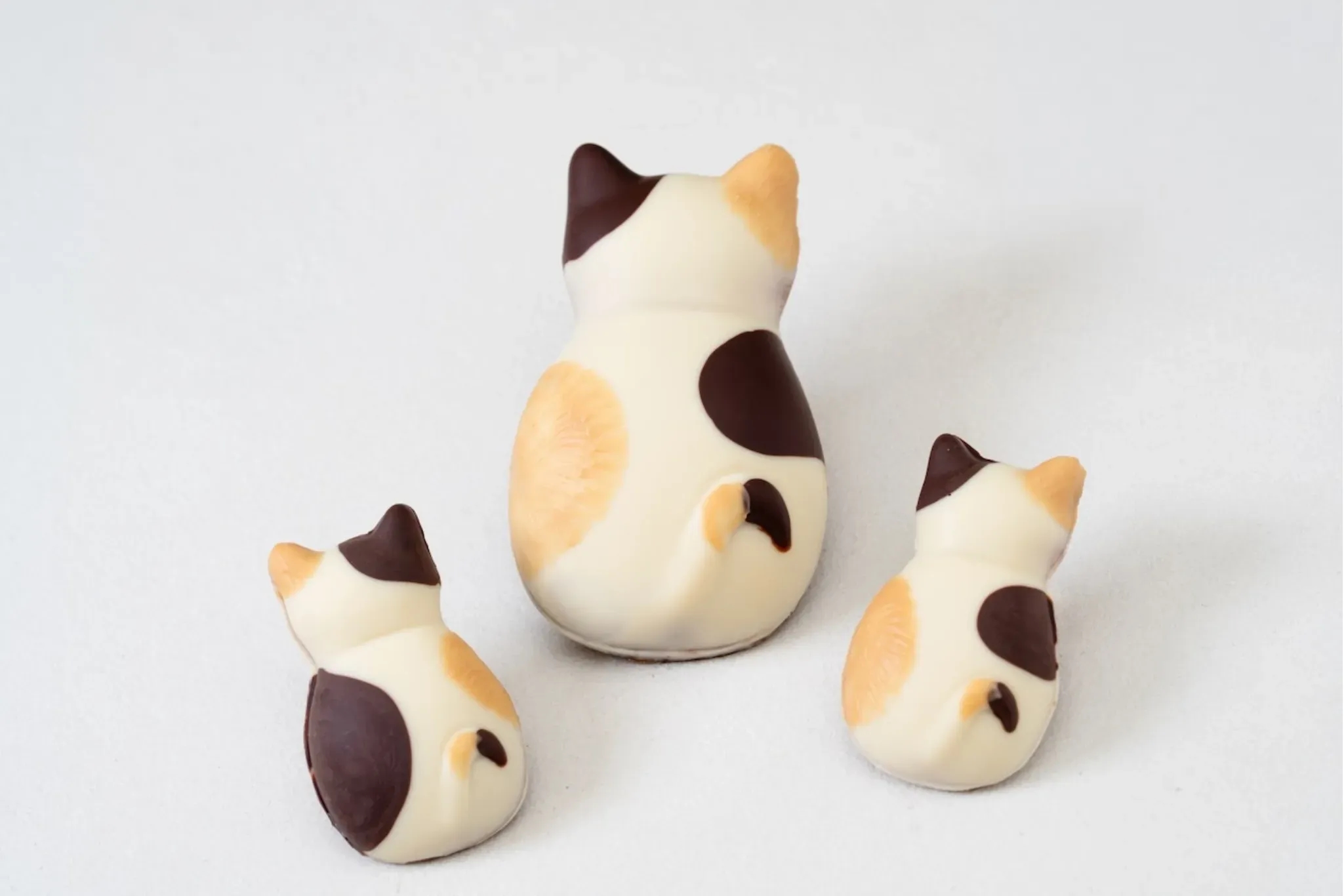 貓咪造型費南雪超吸粉!烘焙點心專門店「BROWN TABBY」2 號店進駐本所吾妻橋