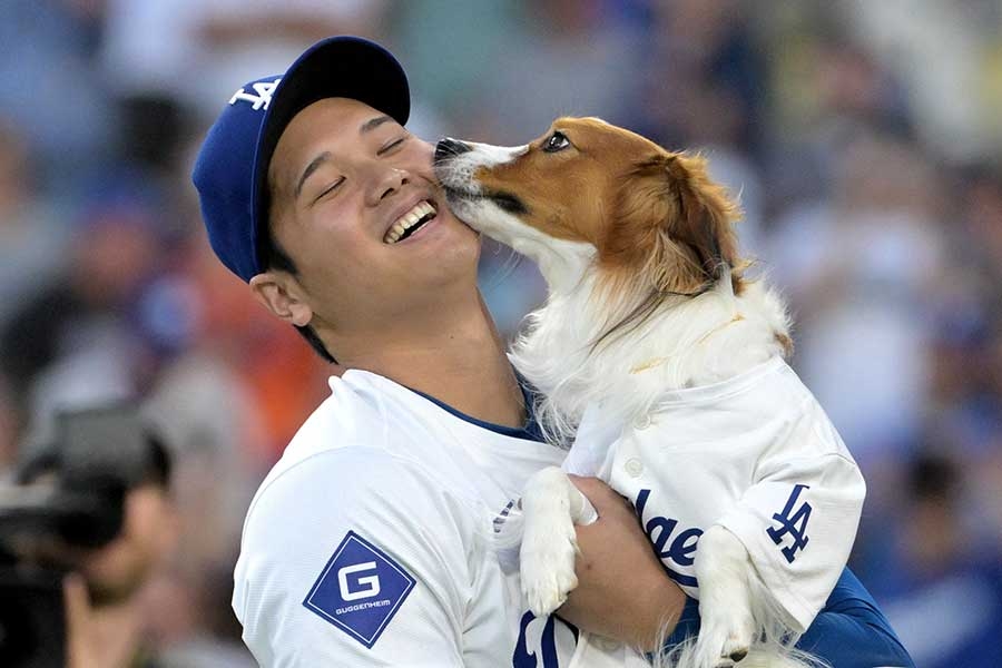 大谷翔平IG曬Decoy叼「清酒瓶」玩具 8秒短片引發球迷討論