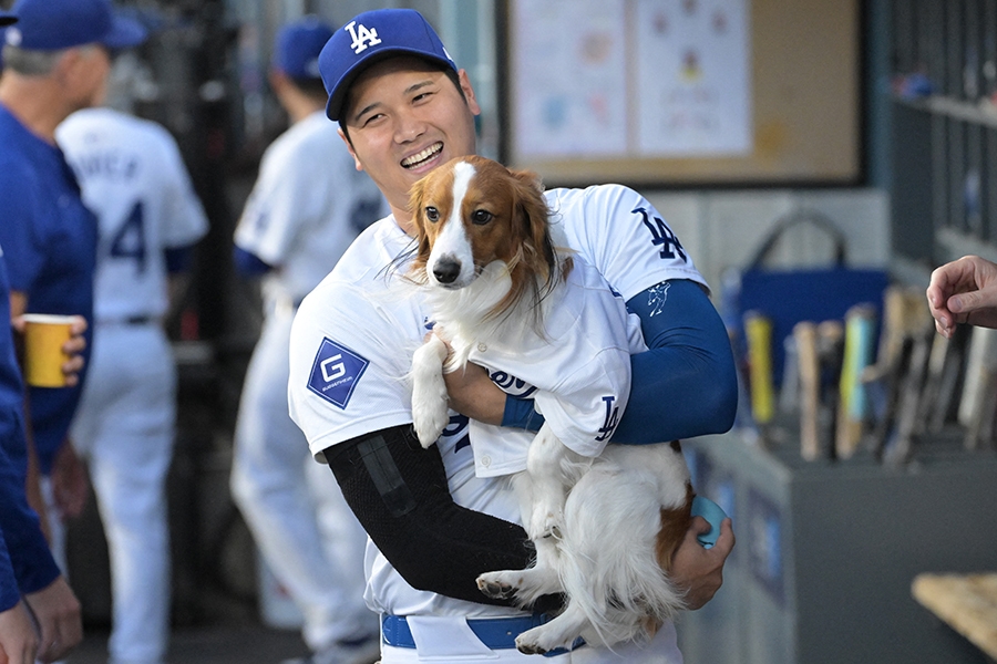 大谷翔平愛犬開球影片 MLB重貼引回味